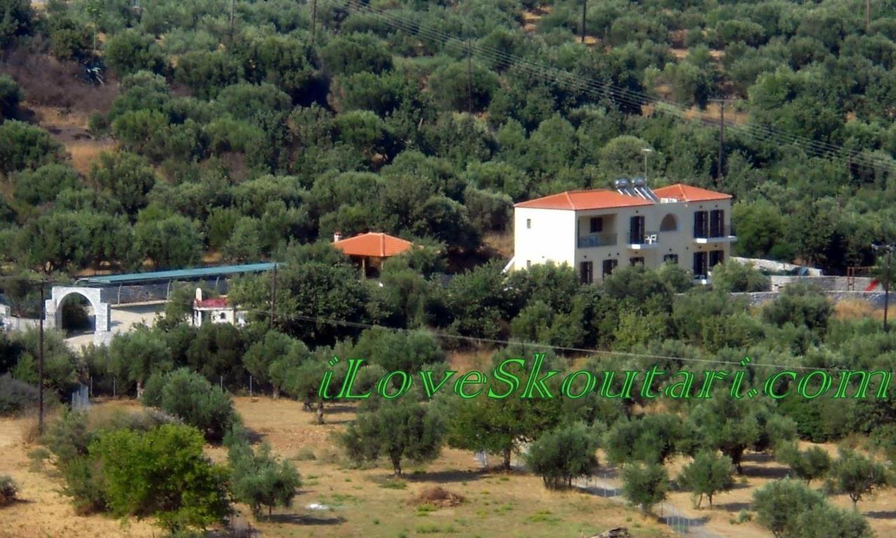 Domaine Papakonstantis To Let Apartament Skoutárion